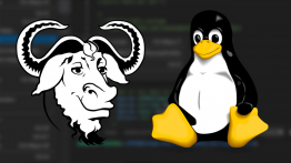 GNU Linux Nedir? Linux İşletim Sistemi Özellikleri