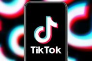 TikTok, iş başvurusu programını tanıttı