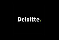 Deloitte, Türk bilgi teknolojileri şirketi TransientX’i bünyesine kattı