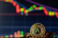 Cardano Şubat ayında 1 doları görebilir mi?